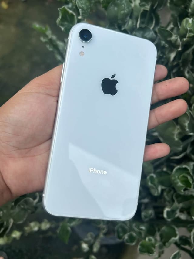 XR